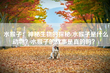 水猴子：神秘生物的探秘(水猴子是什么动物？水猴子的故事是真的吗？)