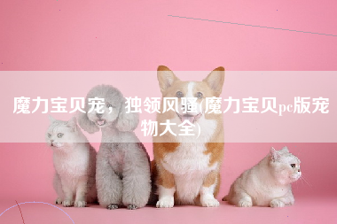 魔力宝贝宠，独领风骚(魔力宝贝pc版宠物大全)