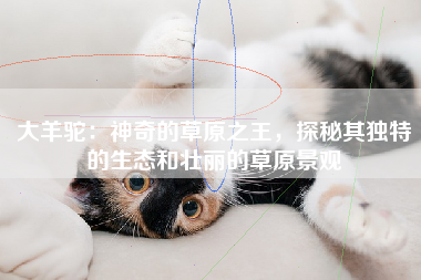 大羊驼：神奇的草原之王，探秘其独特的生态和壮丽的草原景观