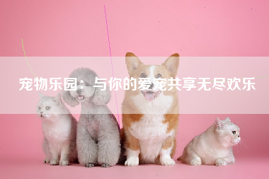 宠物乐园：与你的爱宠共享无尽欢乐