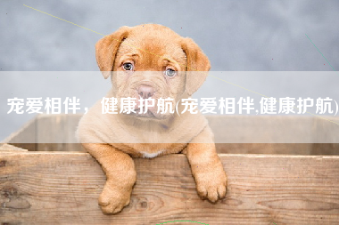 宠爱相伴，健康护航(宠爱相伴,健康护航)