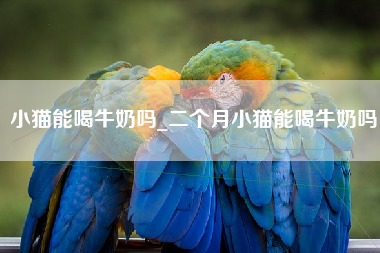 小猫能喝牛奶吗_二个月小猫能喝牛奶吗