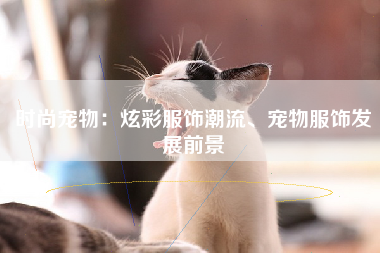时尚宠物：炫彩服饰潮流、宠物服饰发展前景