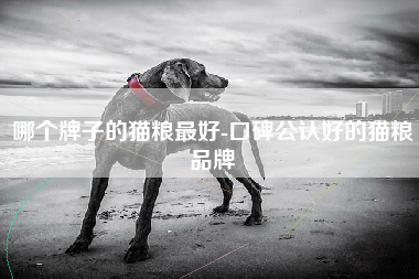 哪个牌子的猫粮最好-口碑公认好的猫粮品牌