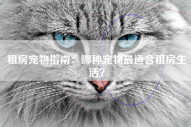 租房宠物指南：哪种宠物最适合租房生活？