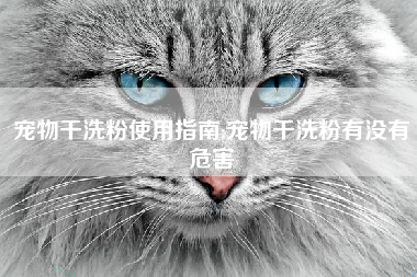 宠物干洗粉使用指南;宠物干洗粉有没有危害