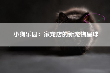 小狗乐园：家宠店的新宠物星球