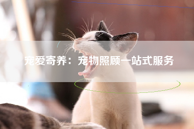 宠爱寄养：宠物照顾一站式服务