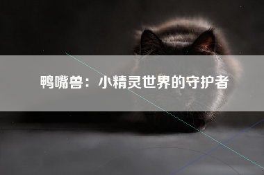 鸭嘴兽：小精灵世界的守护者
