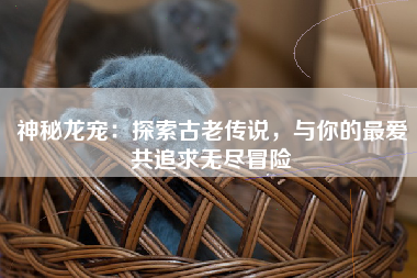 神秘龙宠：探索古老传说，与你的最爱共追求无尽冒险