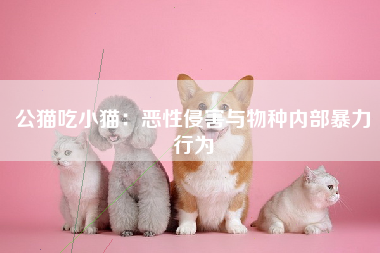 公猫吃小猫：恶性侵害与物种内部暴力行为