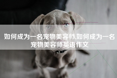 如何成为一名宠物美容师,如何成为一名宠物美容师英语作文