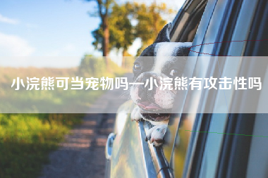 小浣熊可当宠物吗—小浣熊有攻击性吗