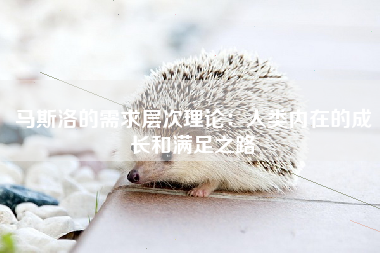 马斯洛的需求层次理论：人类内在的成长和满足之路