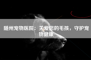 随州宠物医院：关爱您的毛孩，守护宠物健康