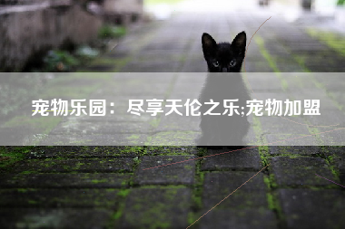 宠物乐园：尽享天伦之乐;宠物加盟