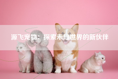 源飞宠物：探索未知世界的新伙伴