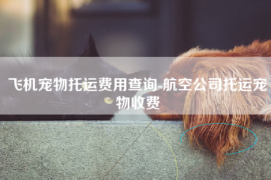 飞机宠物托运费用查询-航空公司托运宠物收费