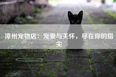 漳州宠物店：宠爱与关怀，尽在你的指尖