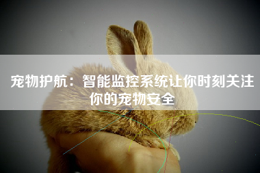 宠物护航：智能监控系统让你时刻关注你的宠物安全
