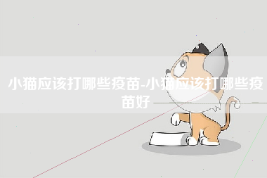 小猫应该打哪些疫苗-小猫应该打哪些疫苗好