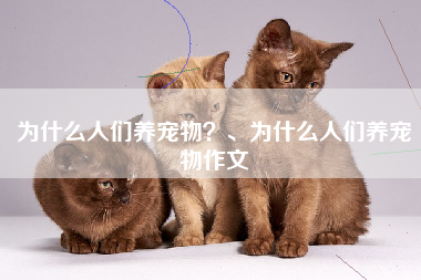为什么人们养宠物？、为什么人们养宠物作文