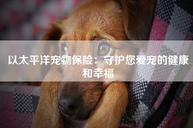以太平洋宠物保险：守护您爱宠的健康和幸福