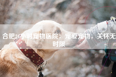 合肥24小时宠物医院：宠爱宠物，关怀无时限