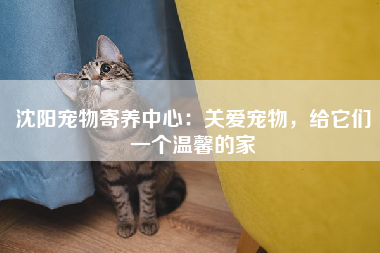 沈阳宠物寄养中心：关爱宠物，给它们一个温馨的家
