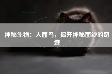 神秘生物：人面鸟，揭开神秘面纱的奇迹