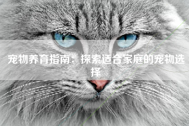 宠物养育指南：探索适合家庭的宠物选择