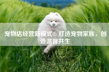 宠物店经营新模式：打造宠物家族，创造温馨共生