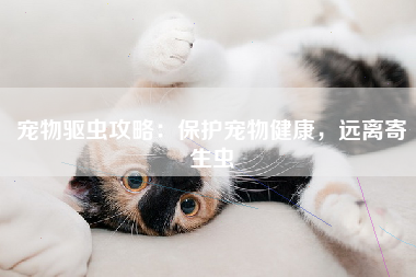 宠物驱虫攻略：保护宠物健康，远离寄生虫