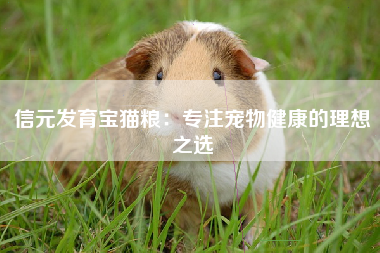 信元发育宝猫粮：专注宠物健康的理想之选