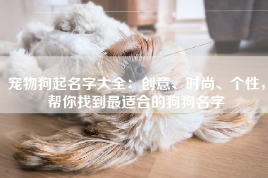 宠物狗起名字大全：创意、时尚、个性，帮你找到最适合的狗狗名字
