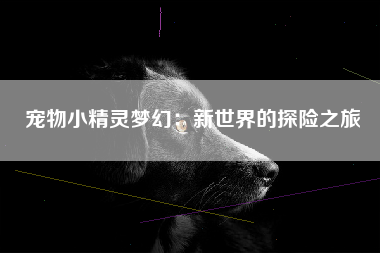 宠物小精灵梦幻：新世界的探险之旅