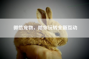 微信宠物，陪你玩转全新互动