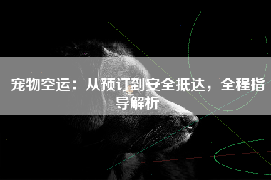 宠物空运：从预订到安全抵达，全程指导解析