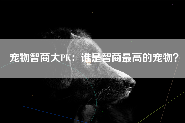 宠物智商大PK：谁是智商最高的宠物？