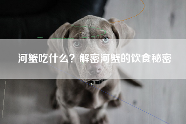 河蟹吃什么？解密河蟹的饮食秘密