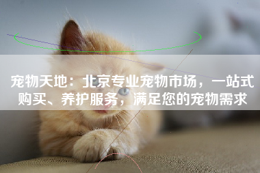 宠物天地：北京专业宠物市场，一站式购买、养护服务，满足您的宠物需求