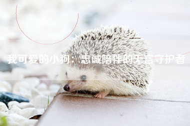 我可爱的小狗：忠诚陪伴的无言守护者