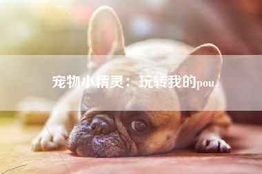 宠物小精灵：玩转我的pou