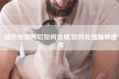 城市宠物死后如何处理,如何处理宠物遗体