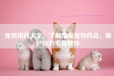 宠物用药大全：了解常见宠物药品，保护你的毛茸伙伴