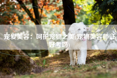 宠爱美容：呵护宠物之美(宠物美容师证好考吗)