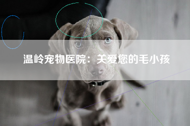 温岭宠物医院：关爱您的毛小孩