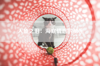 人鱼之泪：海底情感的秘密