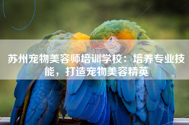 苏州宠物美容师培训学校：培养专业技能，打造宠物美容精英