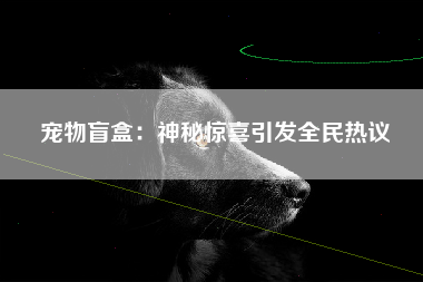 宠物盲盒：神秘惊喜引发全民热议